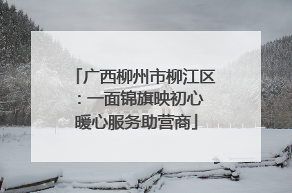 广西柳州市柳江区：一面锦旗映初心 暖心服务助营商