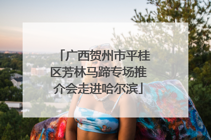 广西贺州市平桂区芳林马蹄专场推介会走进哈尔滨