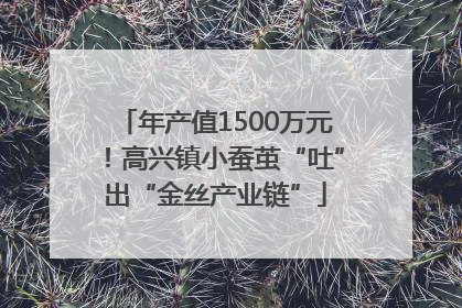 年产值1500万元！高兴镇小蚕茧“吐”出“金丝产业链”