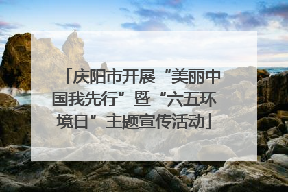 庆阳市开展“美丽中国我先行”暨“六五环境日”主题宣传活动