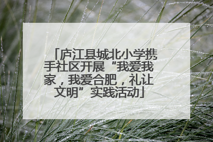 庐江县城北小学携手社区开展“我爱我家，我爱合肥，礼让文明”实践活动