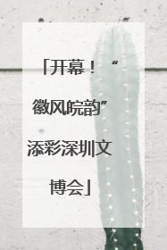 开幕！“徽风皖韵”添彩深圳文博会