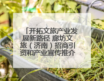 开拓文旅产业发展新路径 廊坊文旅（济南）招商引资和产业宣传推介活动举行