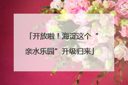开放啦！海淀这个“亲水乐园”升级归来