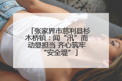 张家界市慈利县杉木桥镇：闻“汛”而动显担当 齐心筑牢“安全堤”