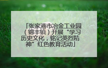 张家港市冶金工业园（锦丰镇）开展“学习历史文化，铭记英烈精神”红色教育活动