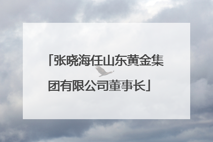 张晓海任山东黄金集团有限公司董事长