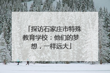 探访石家庄市特殊教育学校：他们的梦想，一样远大