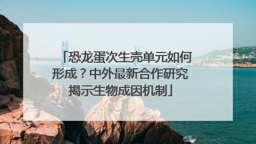 恐龙蛋次生壳单元如何形成？中外最新合作研究揭示生物成因机制