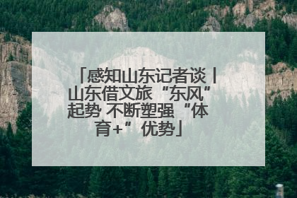 感知山东记者谈丨山东借文旅“东风”起势 不断塑强“体育+”优势