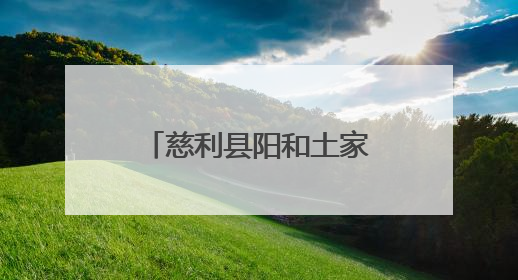 慈利县阳和土家族乡：以“迅”应“汛” 为群众撑起安全伞