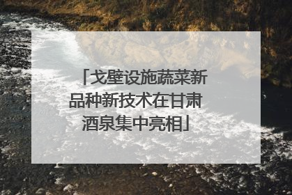 戈壁设施蔬菜新品种新技术在甘肃酒泉集中亮相