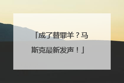 成了替罪羊？马斯克最新发声！