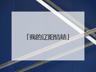 我的辽阳情结