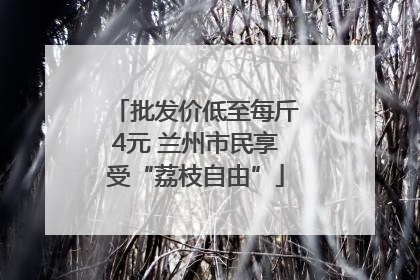 批发价低至每斤4元 兰州市民享受“荔枝自由”
