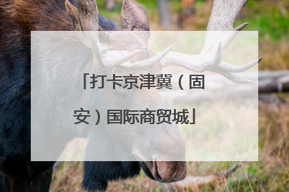 打卡京津冀（固安）国际商贸城