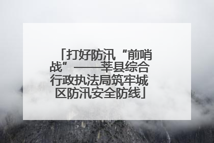 打好防汛“前哨战”——莘县综合行政执法局筑牢城区防汛安全防线