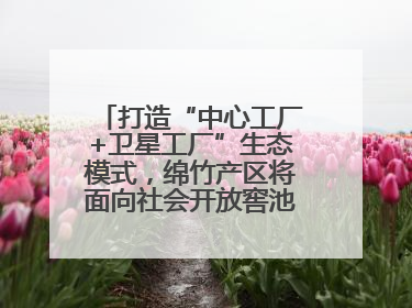 打造“中心工厂+卫星工厂”生态模式，绵竹产区将面向社会开放窖池股权认购