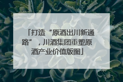 打造“原酒出川新通路”，川酒集团重塑原酒产业价值版图