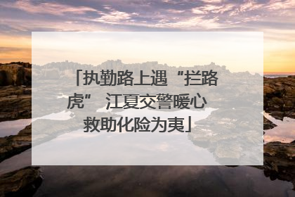 执勤路上遇“拦路虎” 江夏交警暖心救助化险为夷
