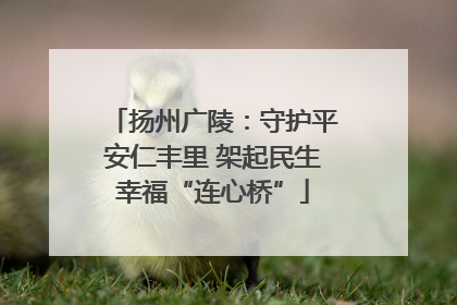扬州广陵：守护平安仁丰里 架起民生幸福“连心桥”