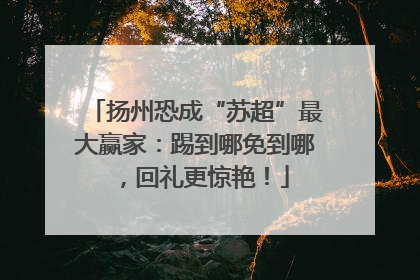 扬州恐成“苏超”最大赢家：踢到哪免到哪，回礼更惊艳！