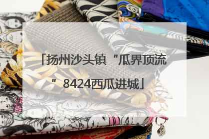 扬州沙头镇“瓜界顶流”8424西瓜进城