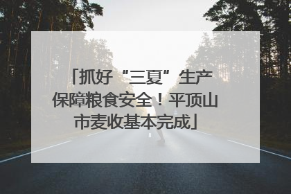 抓好“三夏”生产 保障粮食安全！平顶山市麦收基本完成