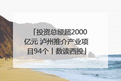 投资总额超2000亿元 泸州推介产业项目94个丨数读西投