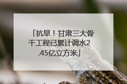 抗旱！甘肃三大骨干工程已累计调水2.45亿立方米