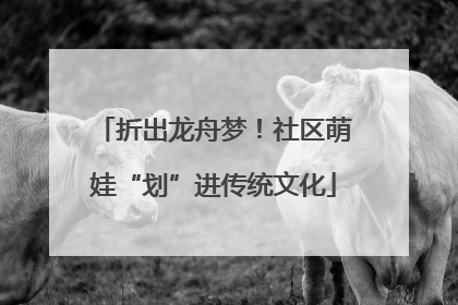 折出龙舟梦！社区萌娃“划”进传统文化