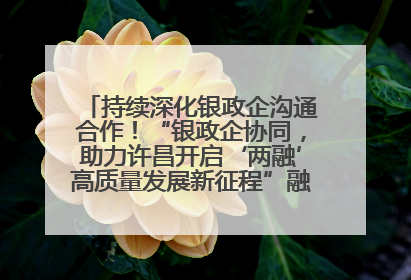 持续深化银政企沟通合作！“银政企协同，助力许昌开启‘两融’高质量发展新征程”融资对接会举行