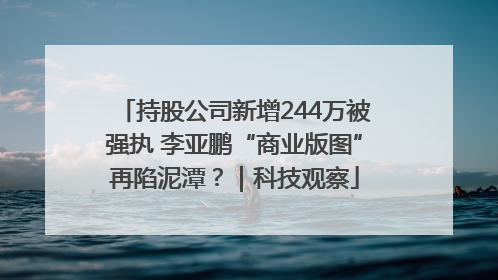 持股公司新增244万被强执 李亚鹏“商业版图”再陷泥潭？｜科技观察