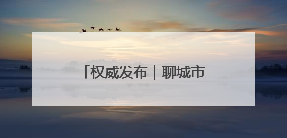 权威发布｜聊城市档案馆数字化赋能打造便民服务新模式