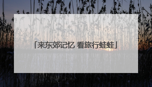 来东郊记忆 看旅行蛙蛙