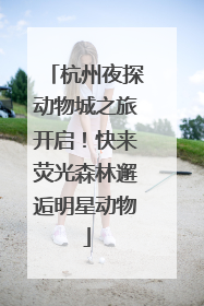 杭州夜探动物城之旅开启！快来荧光森林邂逅明星动物