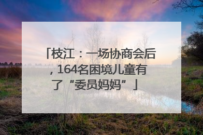 枝江：一场协商会后，164名困境儿童有了“委员妈妈”