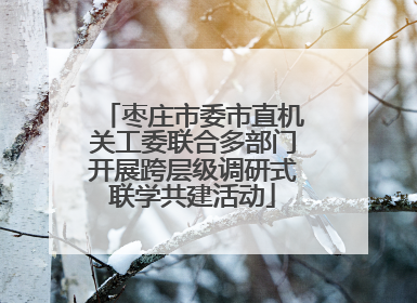 枣庄市委市直机关工委联合多部门开展跨层级调研式联学共建活动