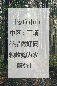 枣庄市市中区：三项举措做好夏粮收购为农服务