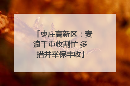 枣庄高新区：麦浪千重收割忙 多措并举保丰收