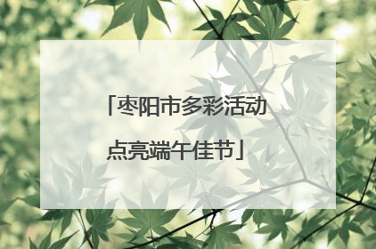 枣阳市多彩活动点亮端午佳节