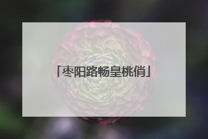 枣阳路畅皇桃俏
