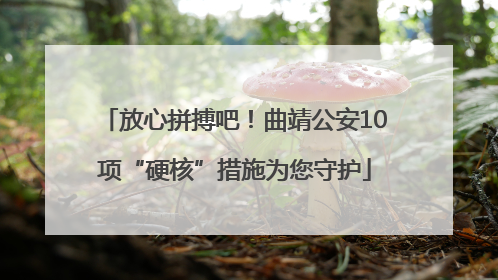 放心拼搏吧！曲靖公安10项“硬核”措施为您守护