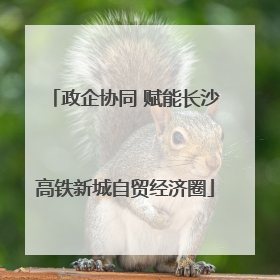 政企协同 赋能长沙高铁新城自贸经济圈