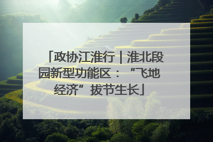 政协江淮行｜淮北段园新型功能区：“飞地经济”拔节生长