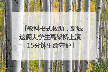 教科书式救助，聊城这俩大学生高架桥上演15分钟生命守护