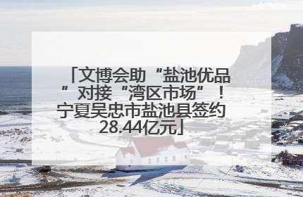 文博会助“盐池优品”对接“湾区市场”！宁夏吴忠市盐池县签约28.44亿元
