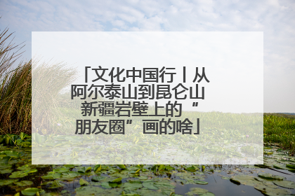 文化中国行丨从阿尔泰山到昆仑山 新疆岩壁上的“朋友圈”画的啥