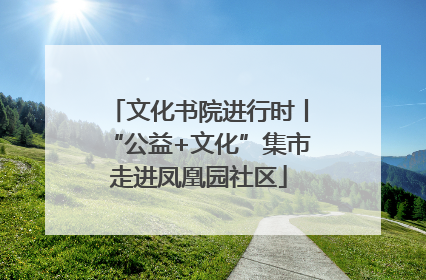 文化书院进行时丨“公益+文化”集市走进凤凰园社区