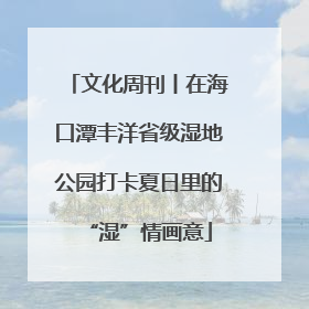 文化周刊丨在海口潭丰洋省级湿地公园打卡夏日里的“湿”情画意